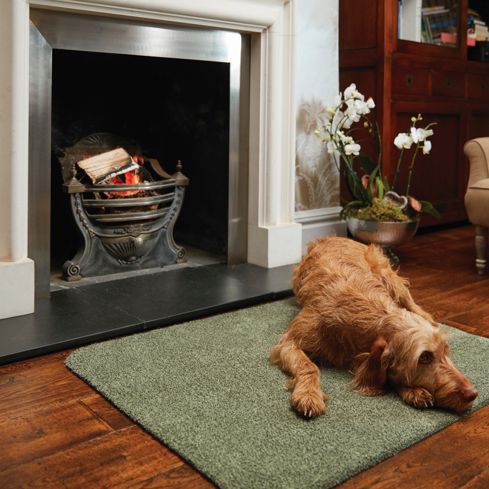 Original Plain Hug Rugs in Sage Green